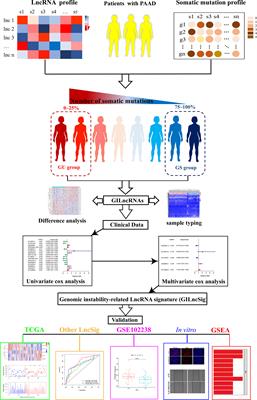 Identification of LncRNA Prognostic Signature Associated With Genomic Instability in Pancreatic Adenocarcinoma